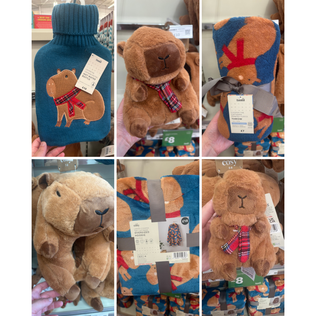 Capybara Collection From £3 At Dunelm